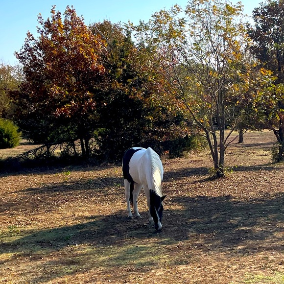 Meet your Posher, Justin - Picture 1 of 1